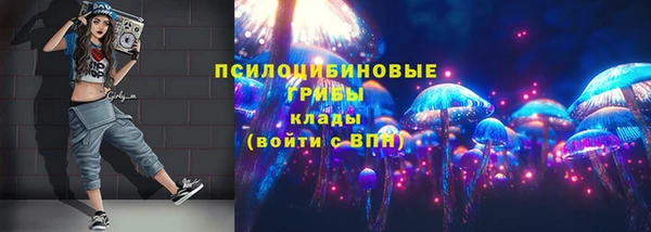 спайс Богданович