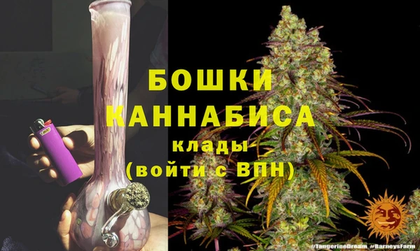 спайс Богданович