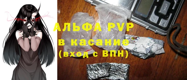 спайс Богданович